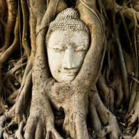 仏教を英語で一言だけで説明したらこうなった 宗教 Jp 仏教を英語で一言だけで説明したらこうなった 宗教 Jp