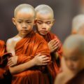 仏教の宗派は違いあるの？【違いのわかる大人必見】