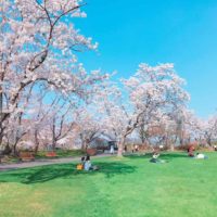創価学会 墓地