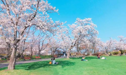 創価学会 墓地